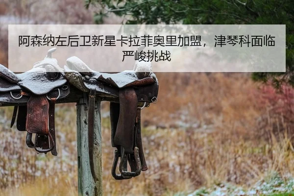 a-sen-na-zuo-hou-wei-xin-xing-ka-la-fei-ao-li-jia-meng-jin-qin-ke-mian-lin-yan-jun-tiao-zhan-2-518.jpg